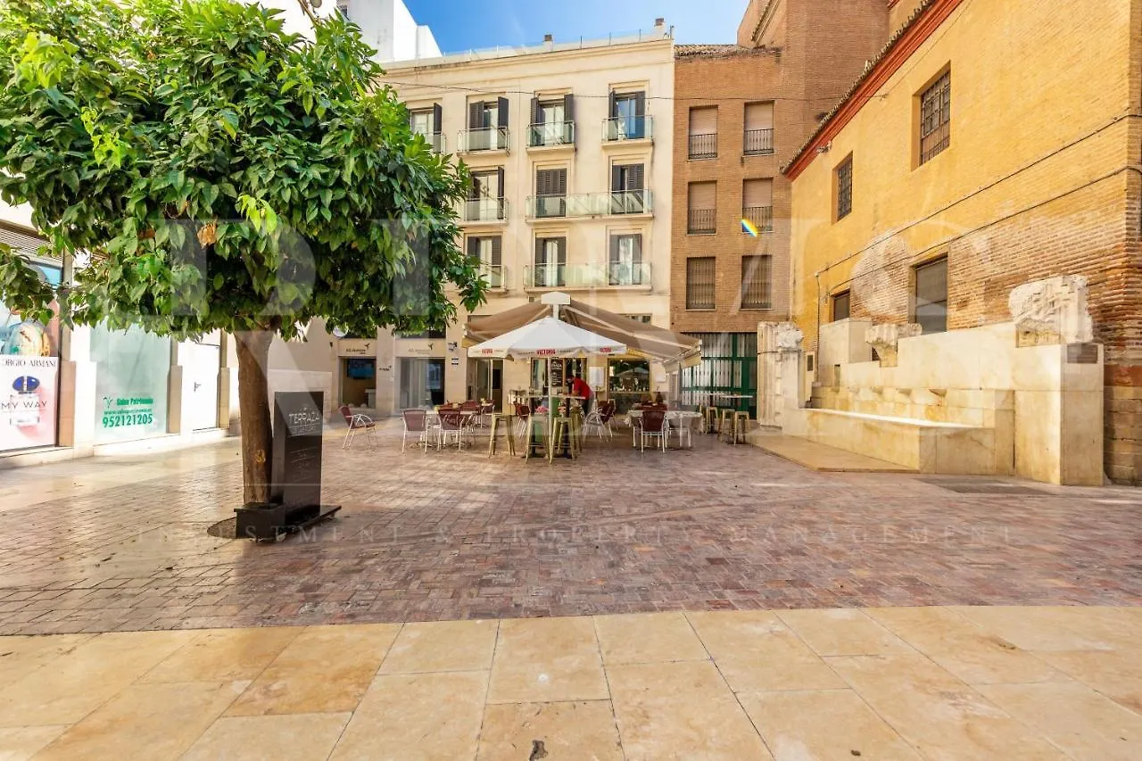 Stylish Apartment In The Historic Center 30 Meters From Calle Larios By Rems Málaga Spanje
